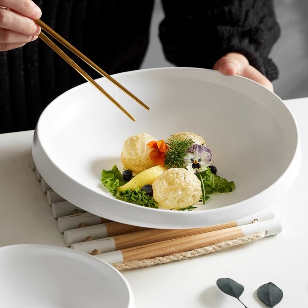 Dinnerware dinner plate
